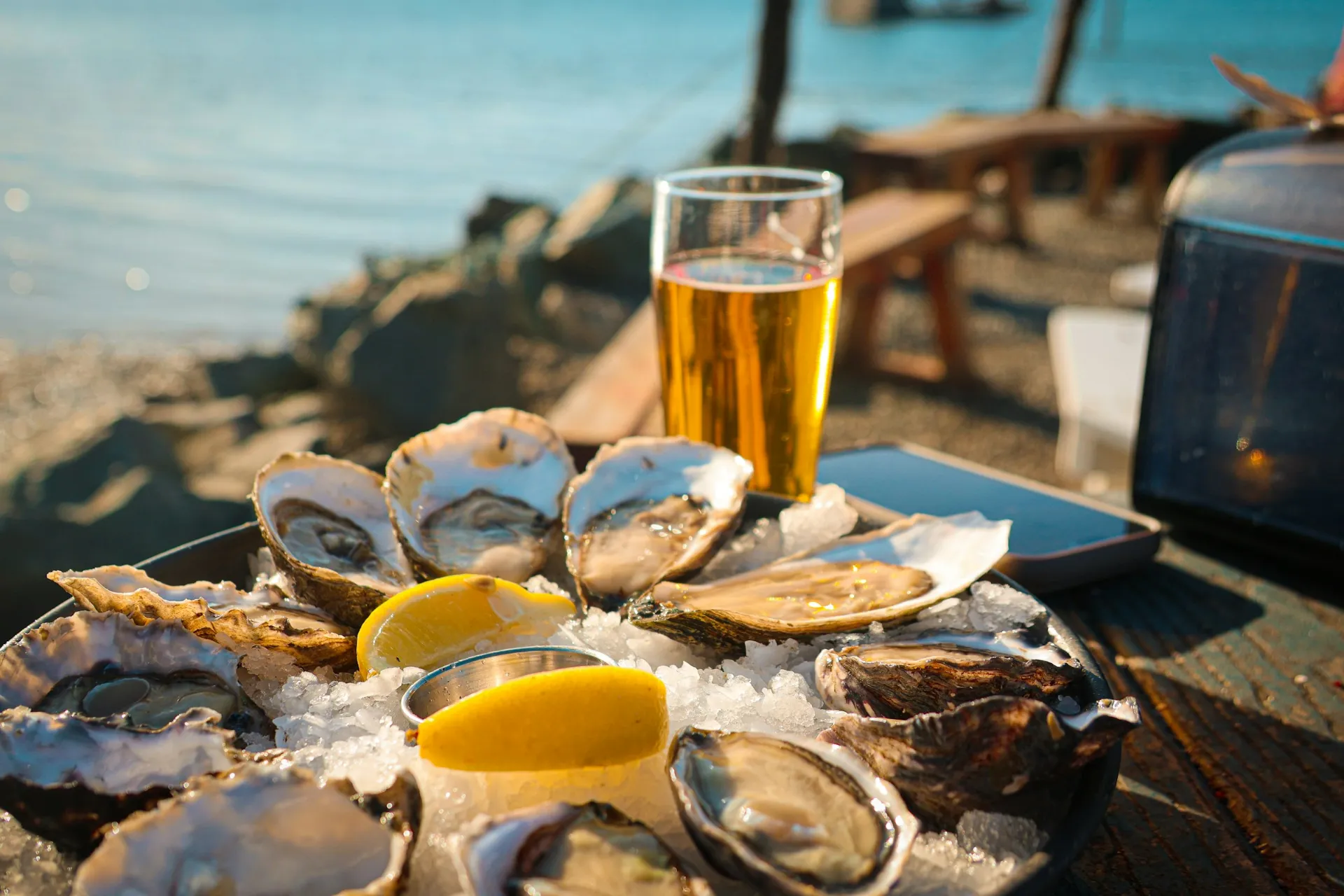 Fresh oysters and a glass of beer on ice, on a table by the water
